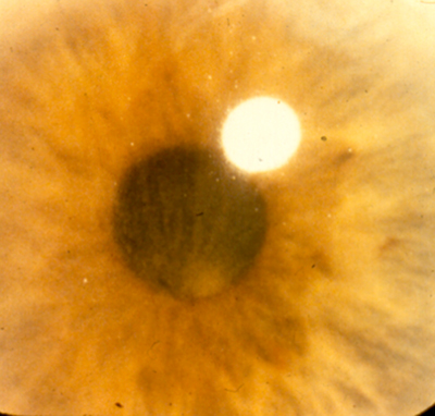 f07-02