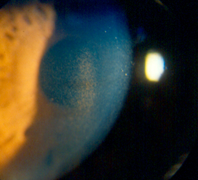 f07-07