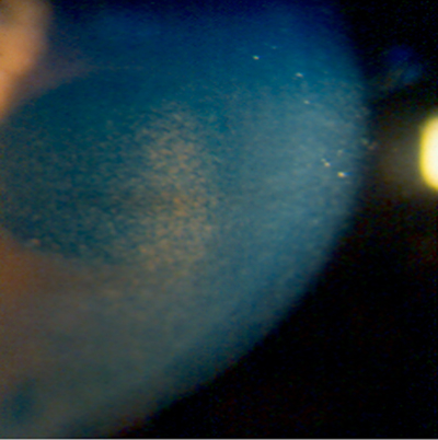 f07-08